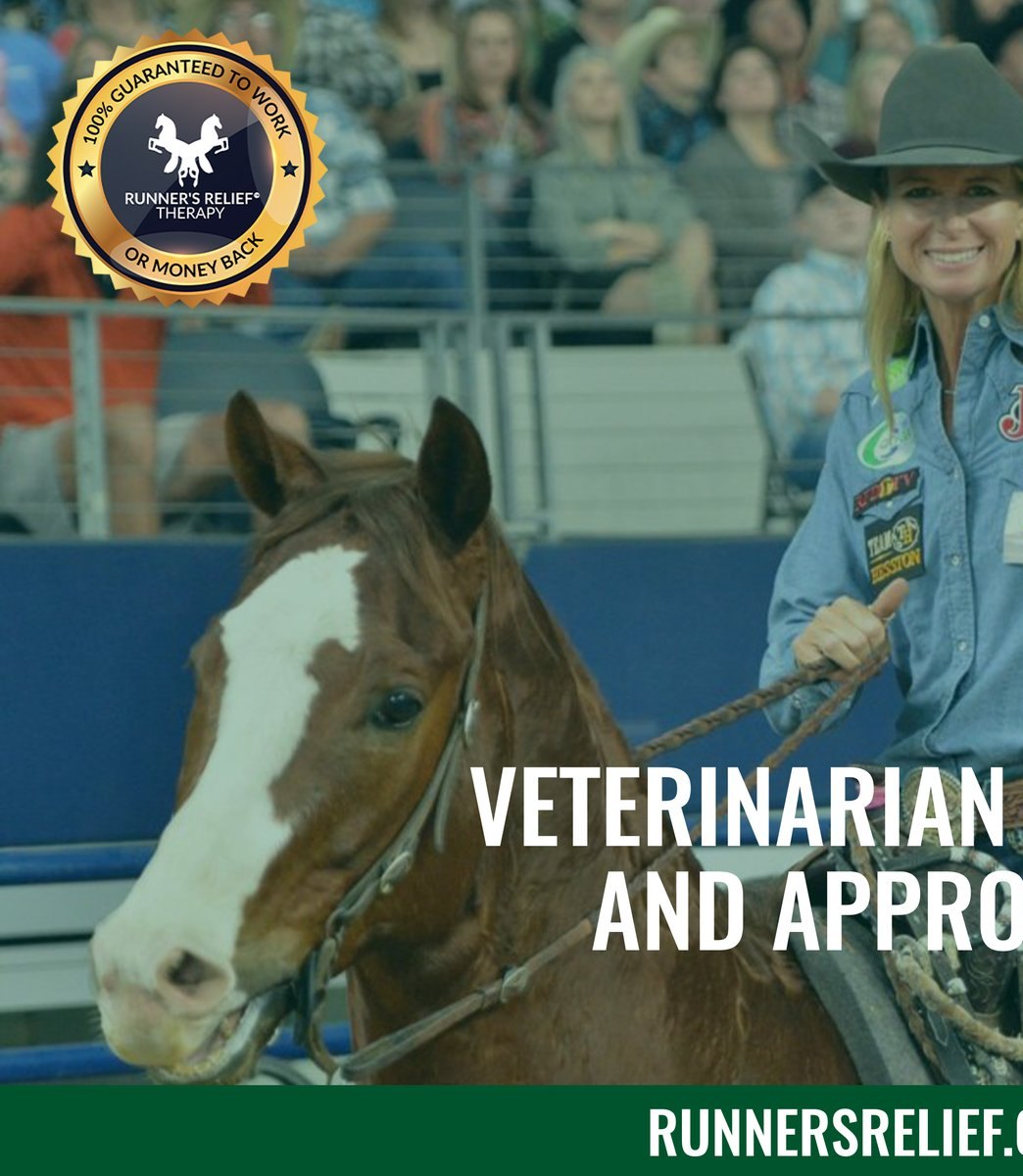 Sherry Cervi